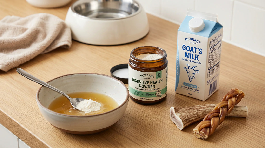 Dental Care for Raw‑Fed, Sensitive, or Picky Dogs: Make It Palatable and Safe