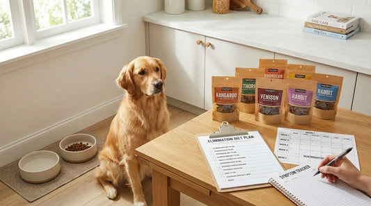 Food Sensitivities in Dogs: A Home-Friendly Elimination Diet