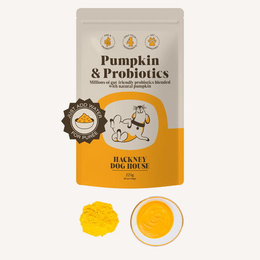 Pumpkin & Probiotics