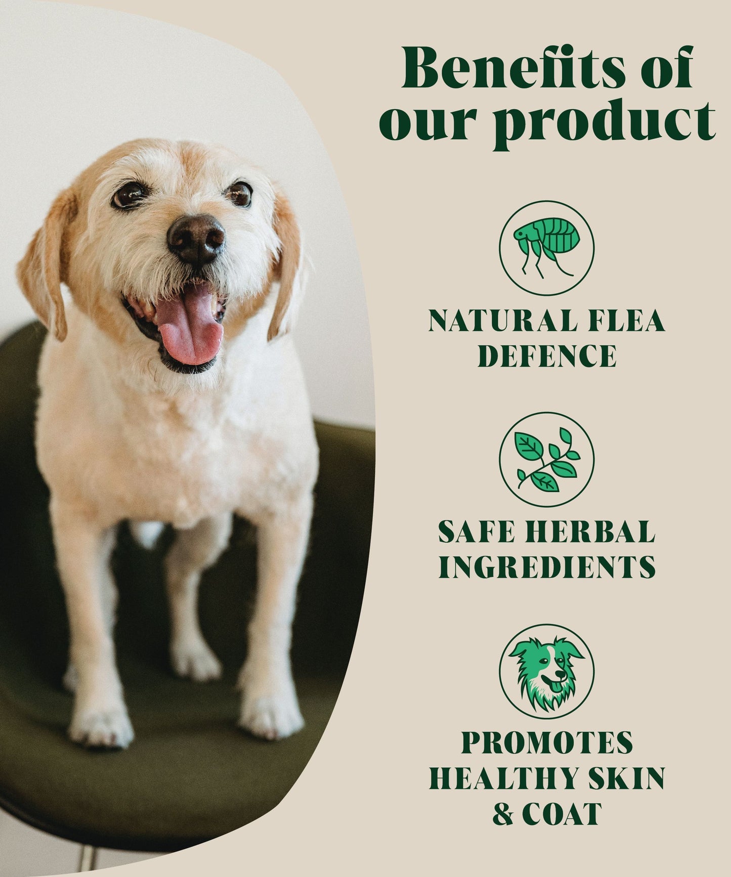 Natural Flea Treatment for Dogs Alternative | Herbal Repellent | 80 Servings