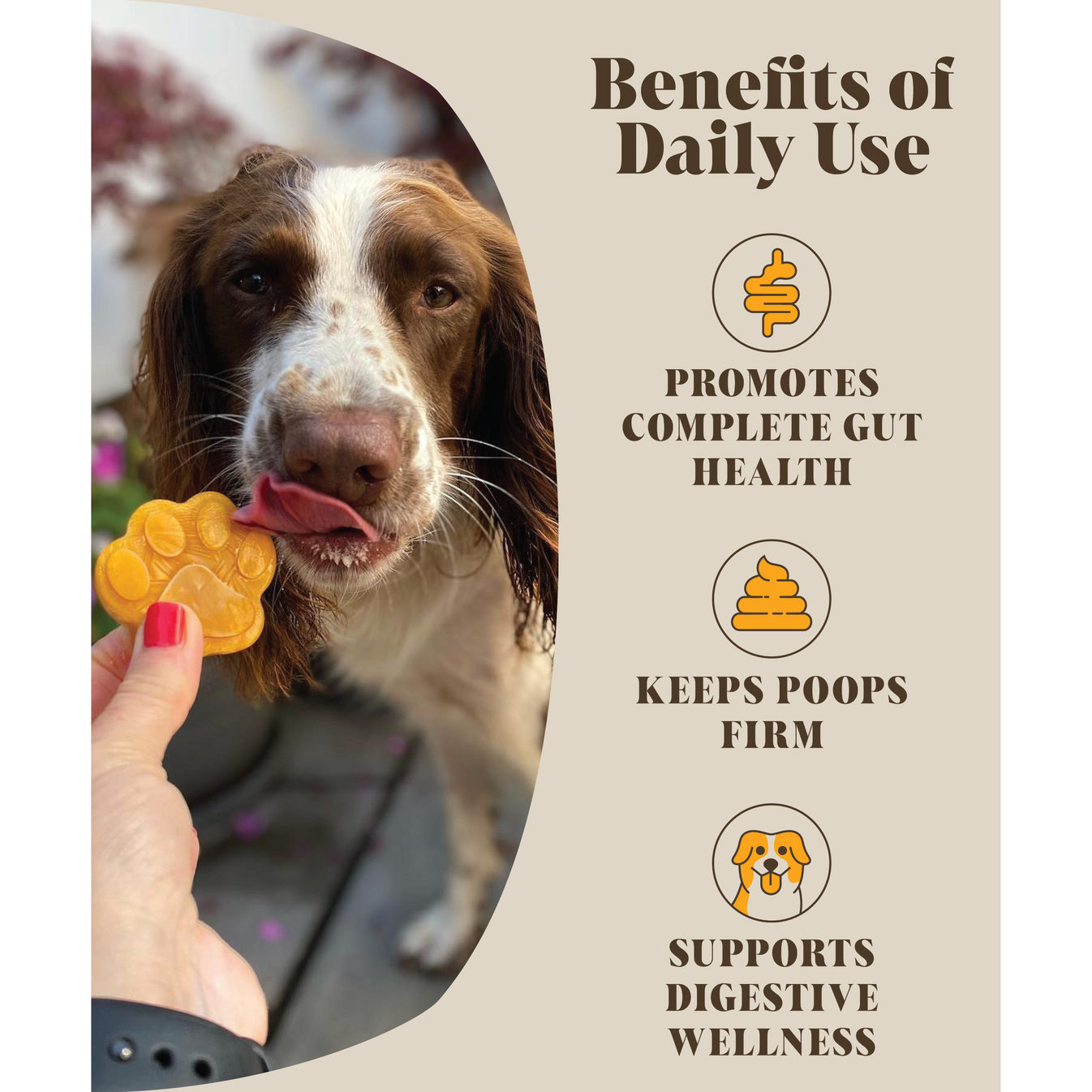 Pumpkin & Probiotics For Dogs | Real Pumpkin Powder + Probiotics | 45 ...